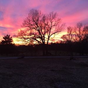 Meet your Posher, Kathleen